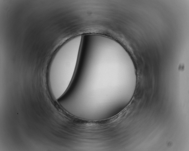 X0000103320154200809051007