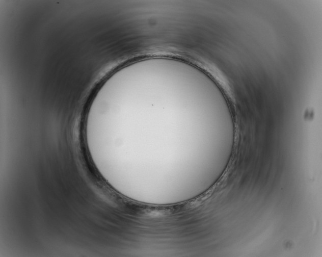 X0000103320155200809051007