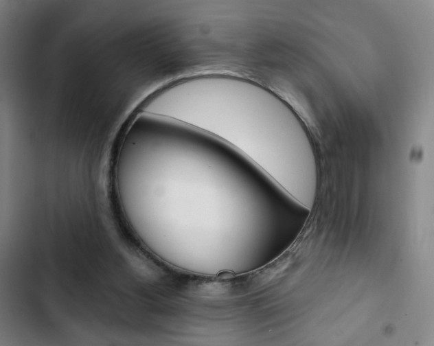 X0000103320156200809051007