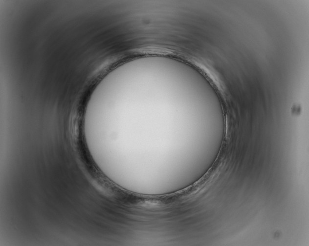 X0000103320157200809051007