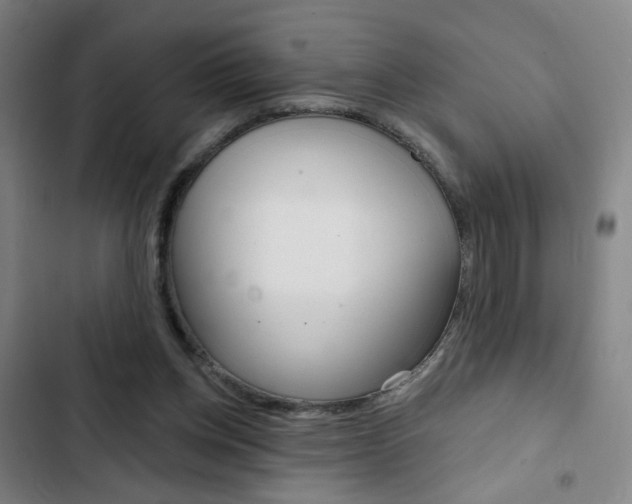 X0000103320158200809051007