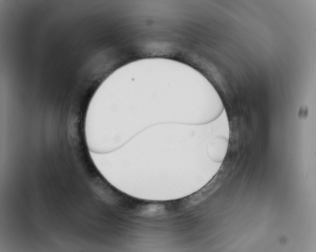 X0000103320162200809051007