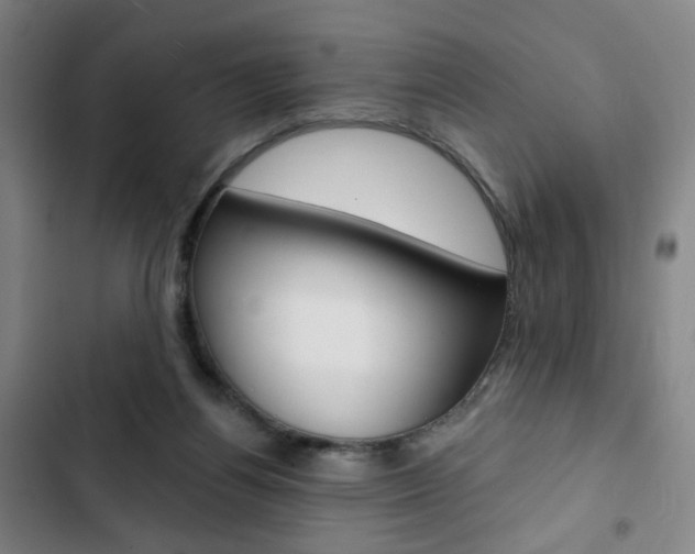 X0000103320164200809051007