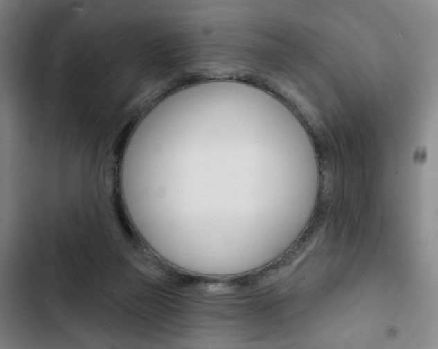 X0000103320165200809051007