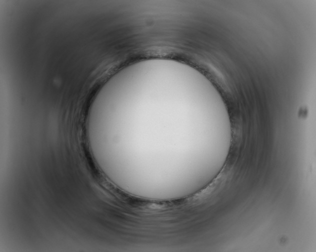 X0000103320166200809051007