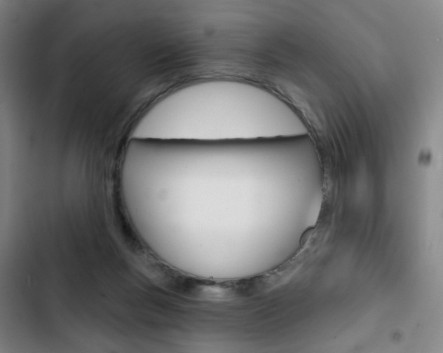 X0000103320167200809051007