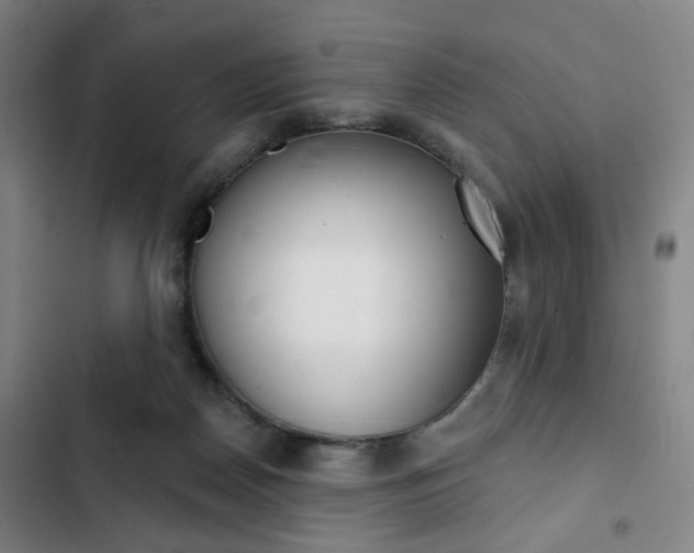 X0000103320170200809051007