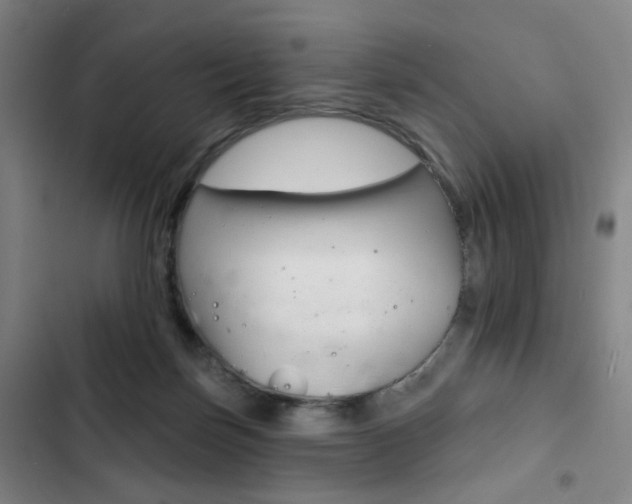 X0000103320171200809051007