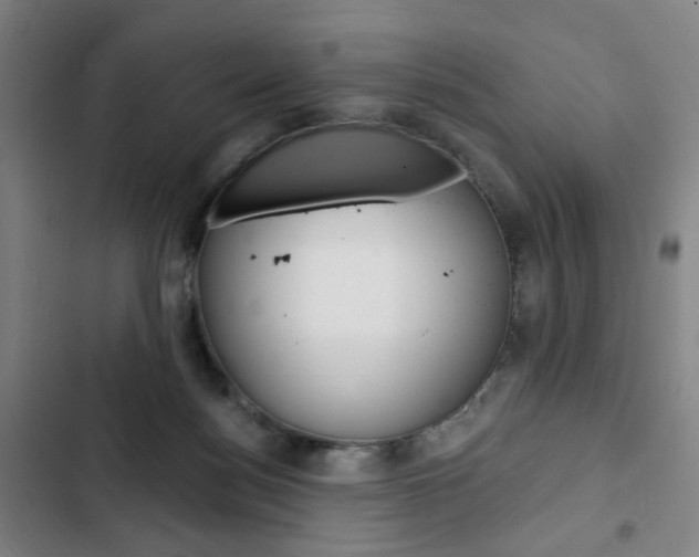 X0000103320172200809051007