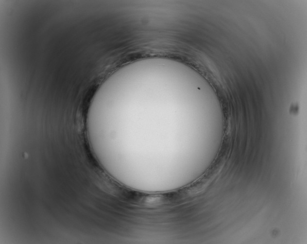 X0000103320173200809051007