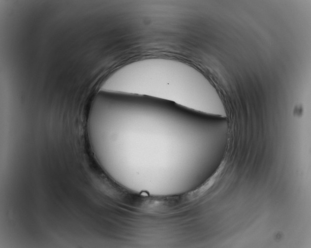 X0000103320174200809051007