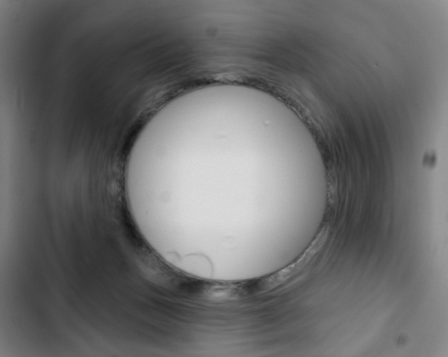 X0000103320175200809051007