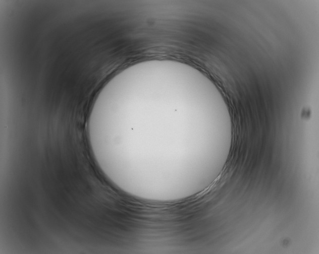 X0000103320176200809051007