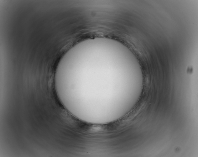 X0000103320177200809051007