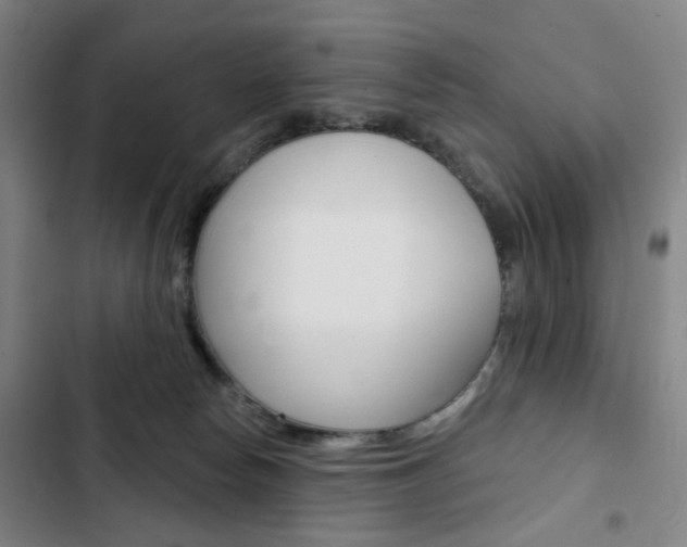 X0000103320178200809051007