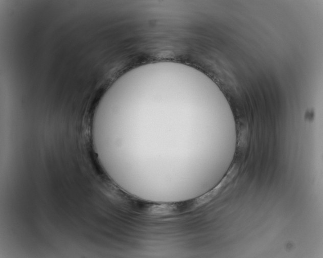 X0000103320179200809051007