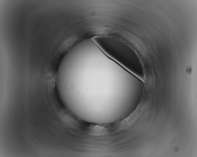 X0000103320180200809051007