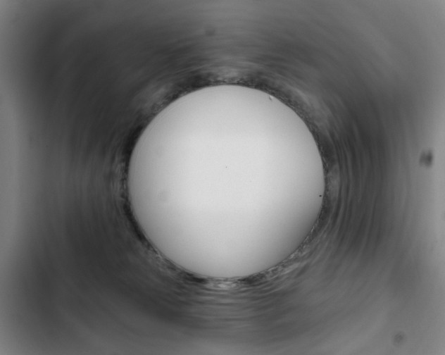 X0000103320181200809051007