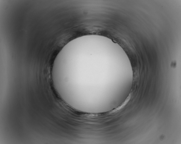 X0000103320182200809051007