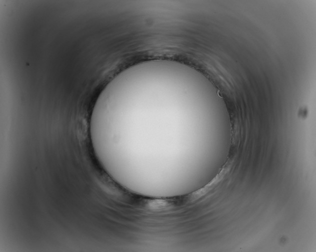 X0000103320183200809051007
