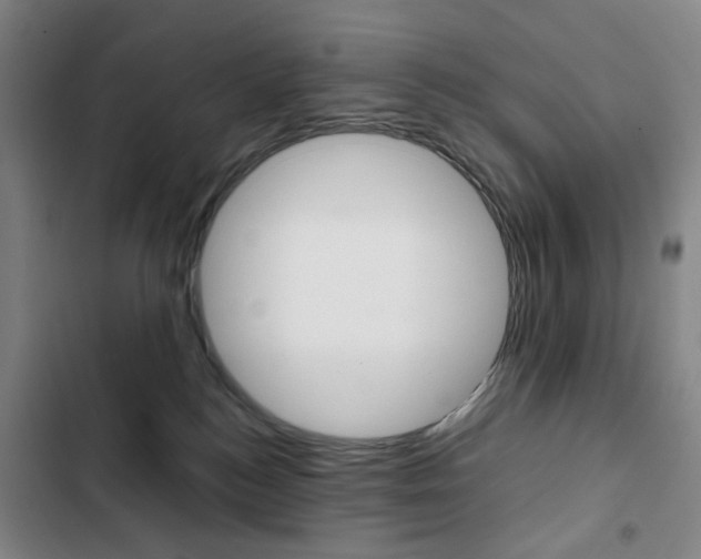 X0000103320184200809051007