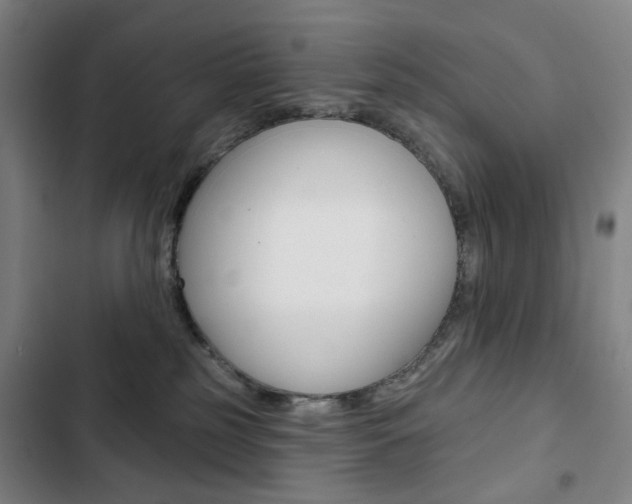 X0000103320185200809051007