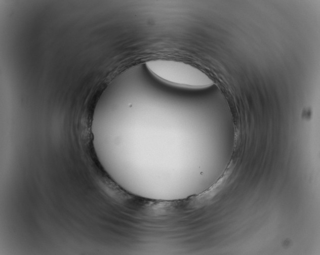 X0000103320186200809051007
