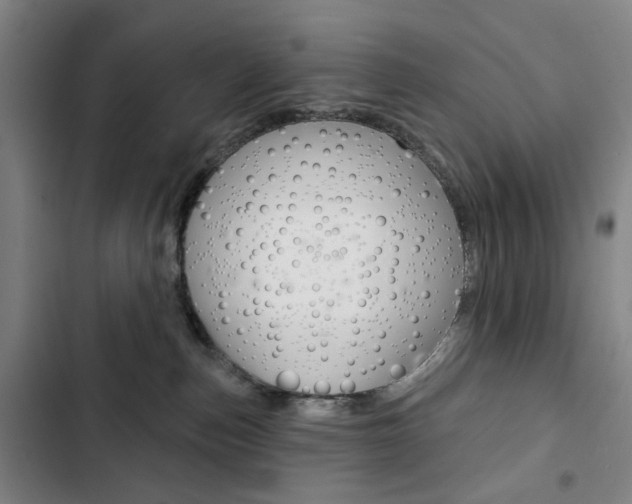 X0000103320187200809051007