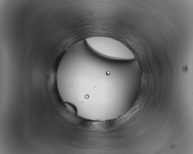 X0000103320188200809051007