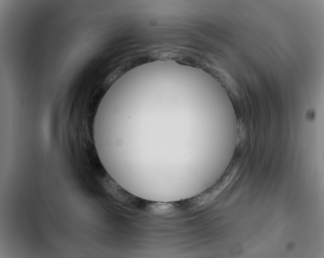 X0000103320189200809051007