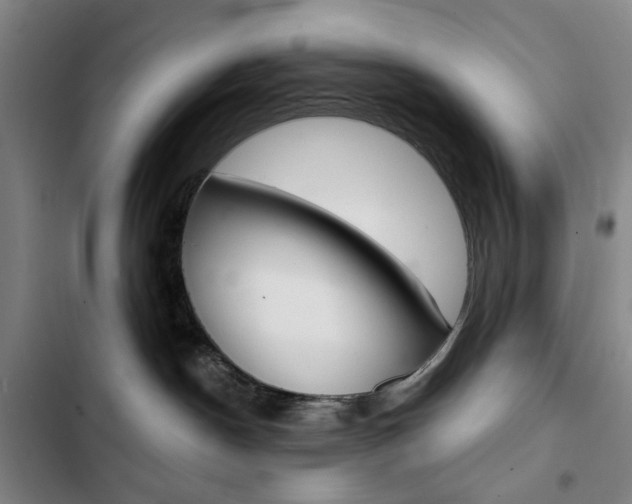 X0000103320190200809051007