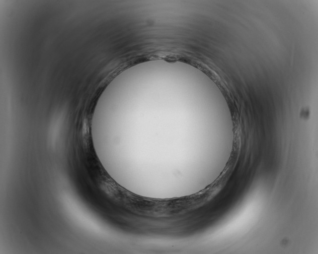 X0000103320191200809051007