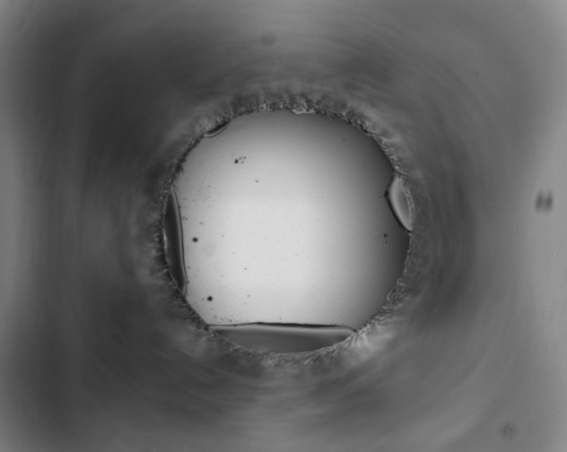 X0000103320192200809051007