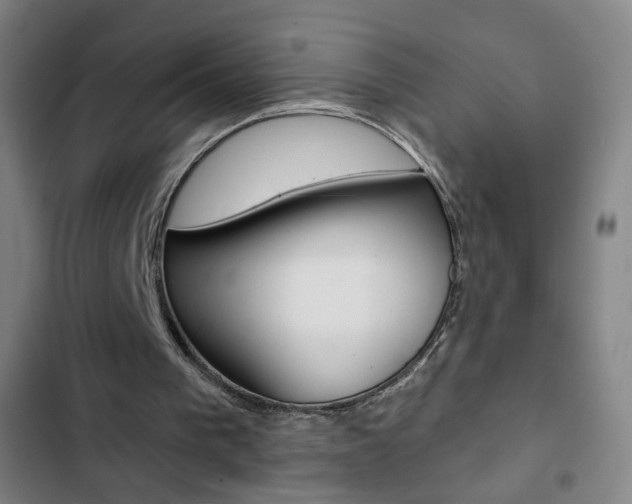 X0000103320193200809051007