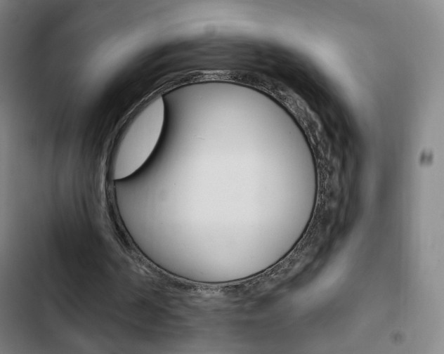X0000103320194200809051007