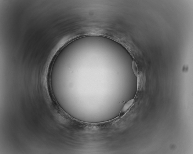 X0000103320195200809051007