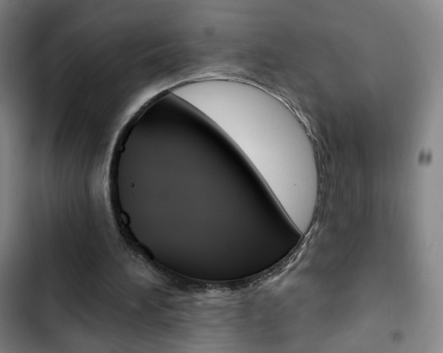 X0000103320196200809051007