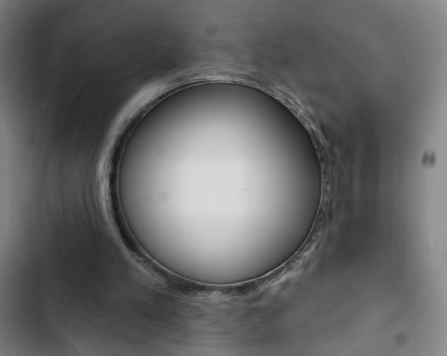 X0000103320197200809051007