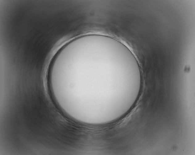 X0000103320199200809051007