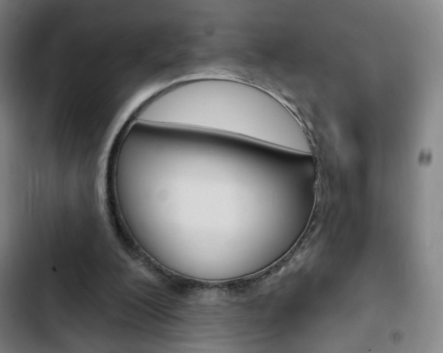 X0000103320200200809051007