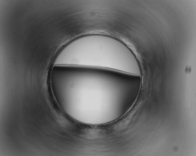 X0000103320201200809051007