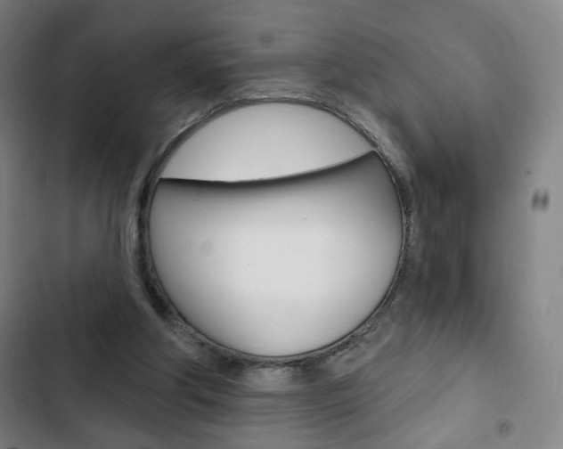 X0000103320202200809051007