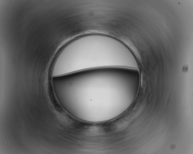 X0000103320204200809051007