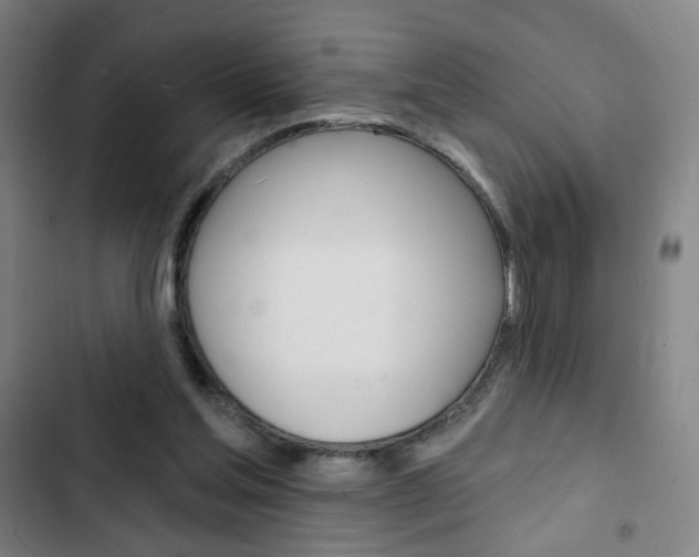 X0000103320205200809051007