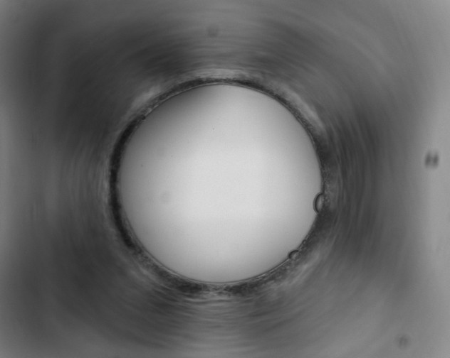 X0000103320207200809051007