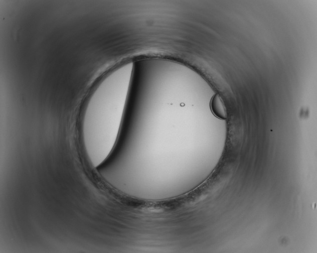 X0000103320208200809051007