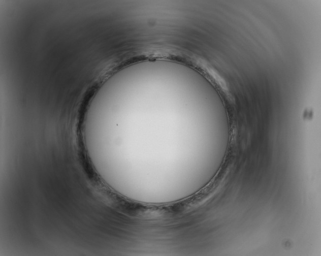 X0000103320209200809051007