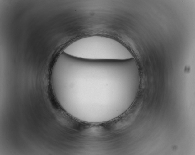 X0000103320210200809051007