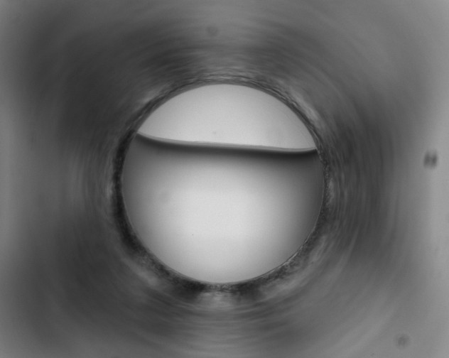 X0000103320211200809051007