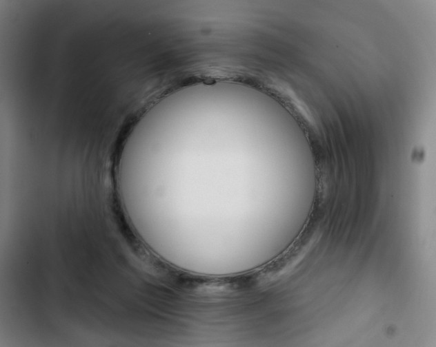 X0000103320213200809051006
